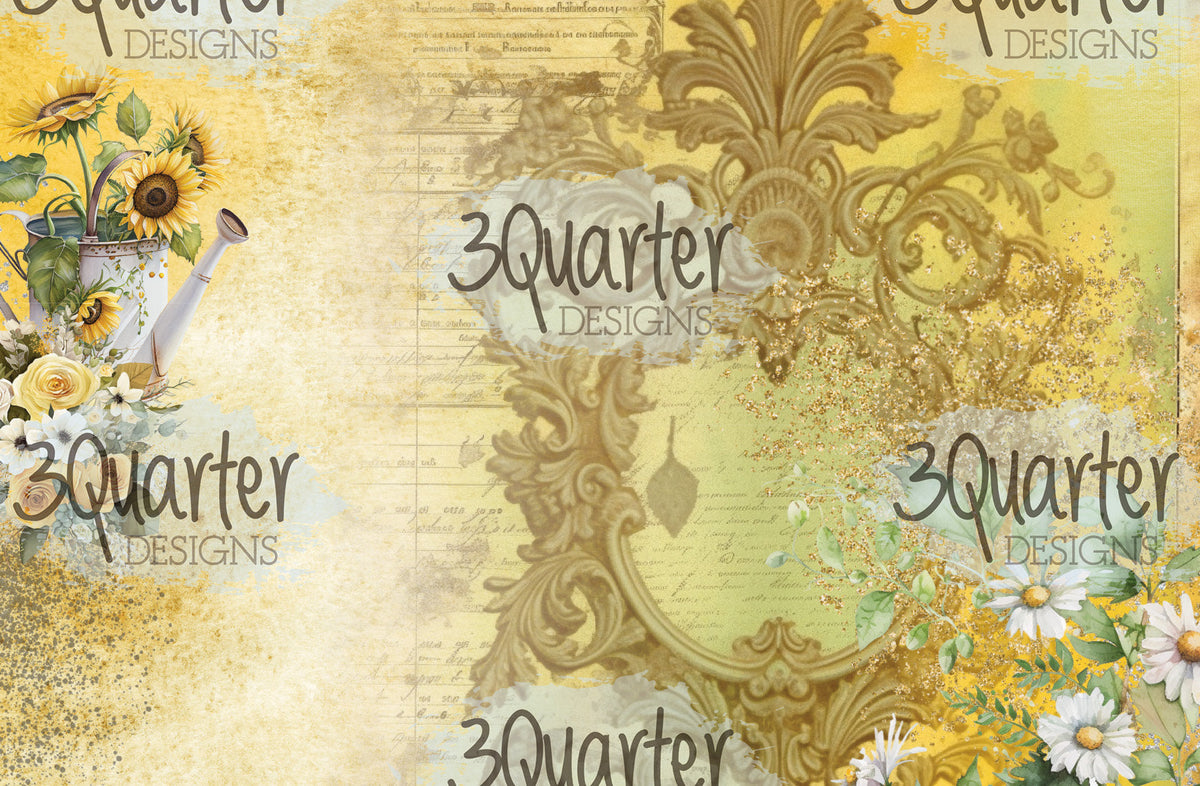Pack de cartes Élixir de Tournesol 6x4-4