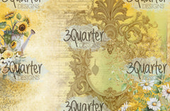 Pack de cartes Élixir de Tournesol 6x4-4