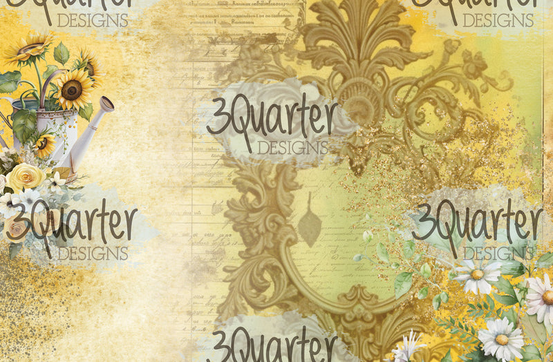 Pack de cartes Élixir de Tournesol 6x4-4
