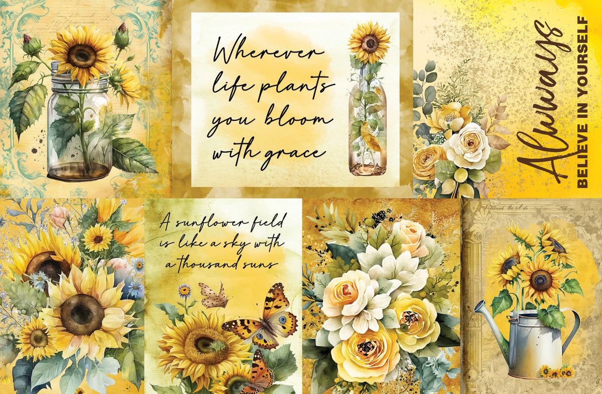 Pack de cartes Élixir de Tournesol 6x4-19