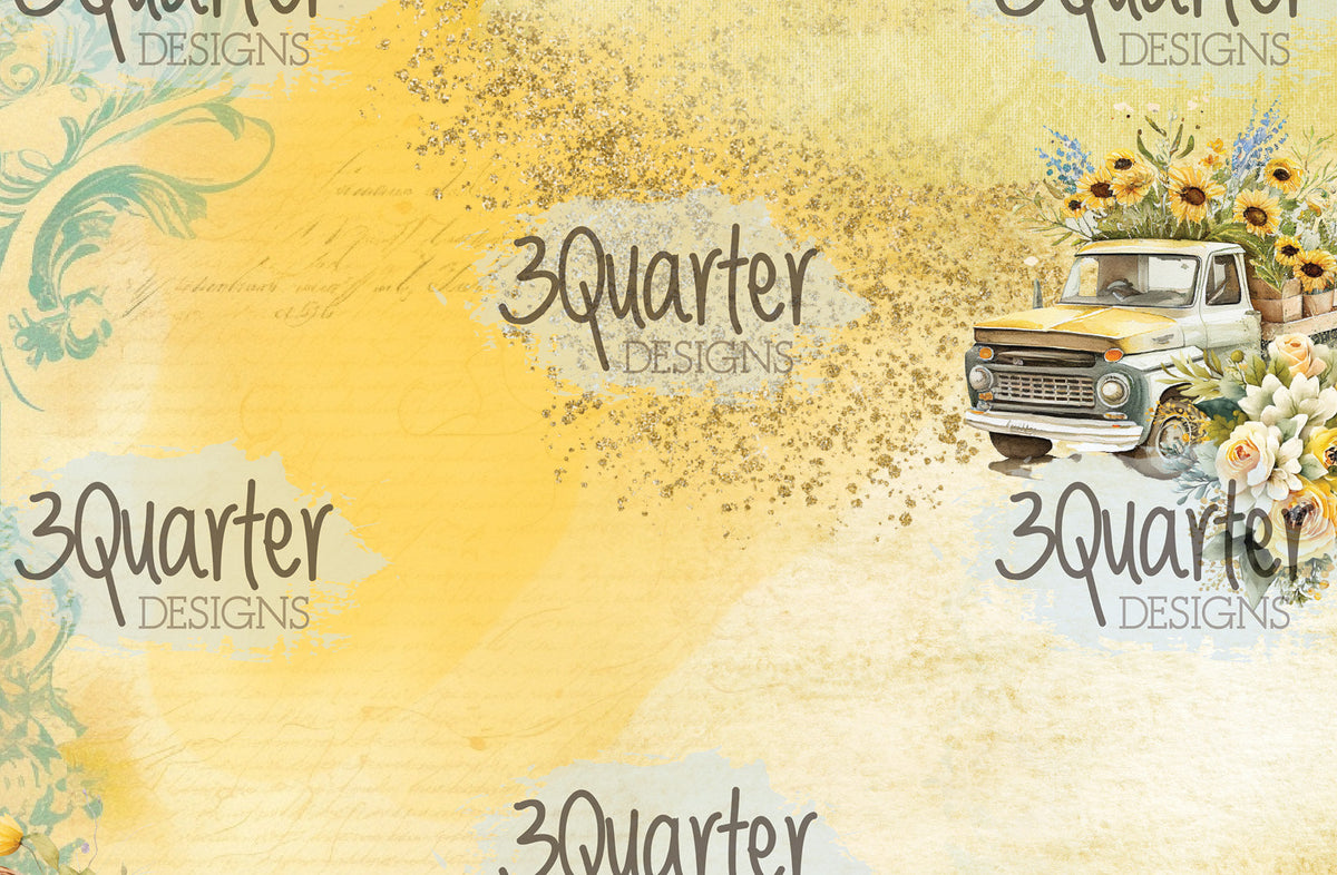 Pack de cartes Élixir de Tournesol 6x4-6