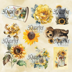 Sunflower Elixir 6x6 pack-13