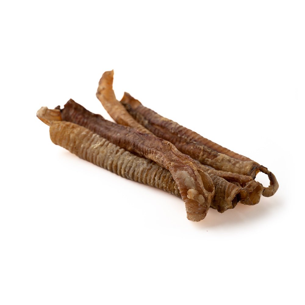 7"+ Lamb Trachea-2