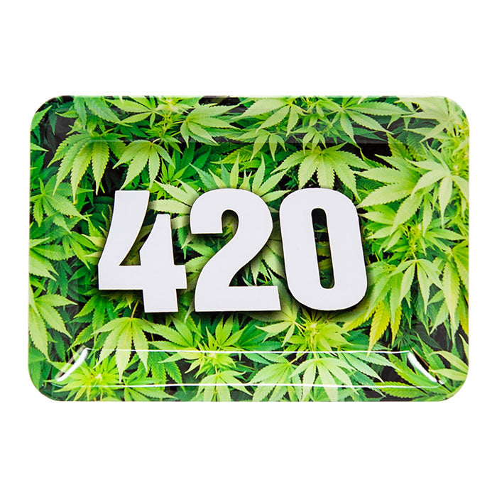 420 Small Tinplate Tray