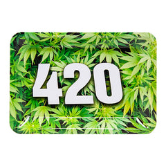 420 Small Tinplate Tray-1