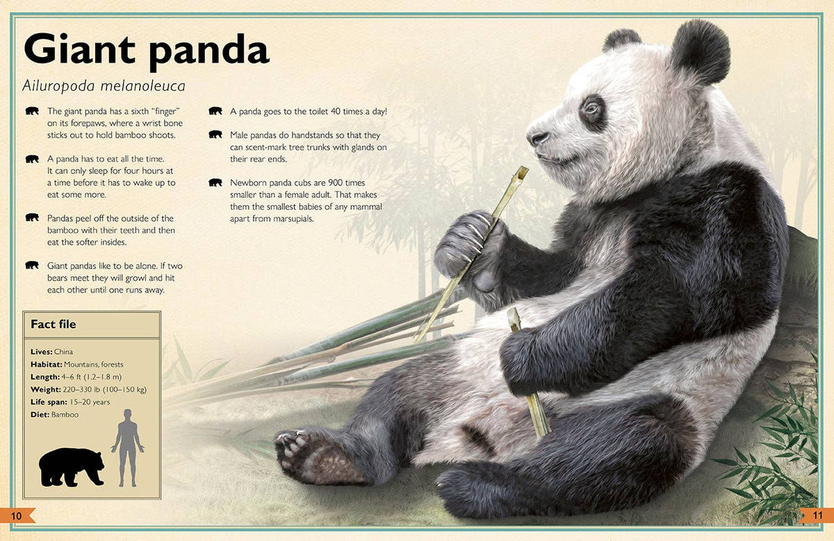 Insight Editions - The Magnificent Book of Animals - Ages 6+-4