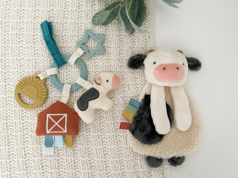 Itzy Ritzy Canada - Bitzy Busy Gift Set™ - Ages 0+-4