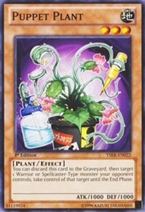 Puppet Plant (YSKR-EN022) - Starter Deck: Kaiba Reloaded 1st Edition-1