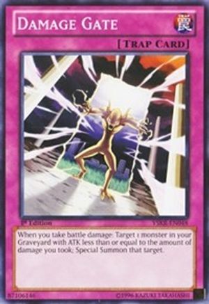 Damage Gate (YSKR-EN048) - Starter Deck: Kaiba Reloaded 1st Edition-1