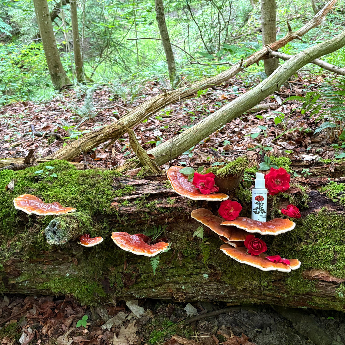 ROSE & REISHI SERUM-6