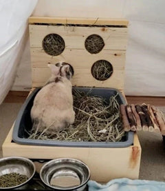 Four Hole Hay Feeder and Litter Box-1