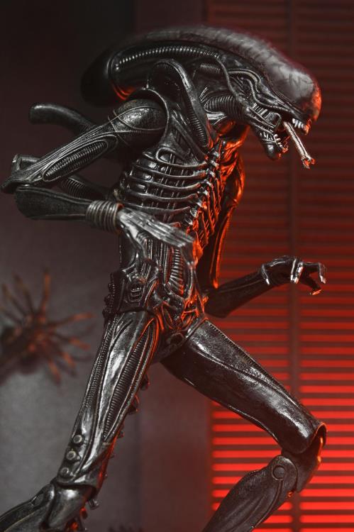 Alien: Romulus Ultimate Xenomorph XX121-4