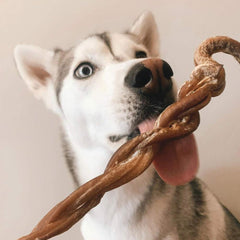 8-11" Braided Lamb Pizzle Stick-3