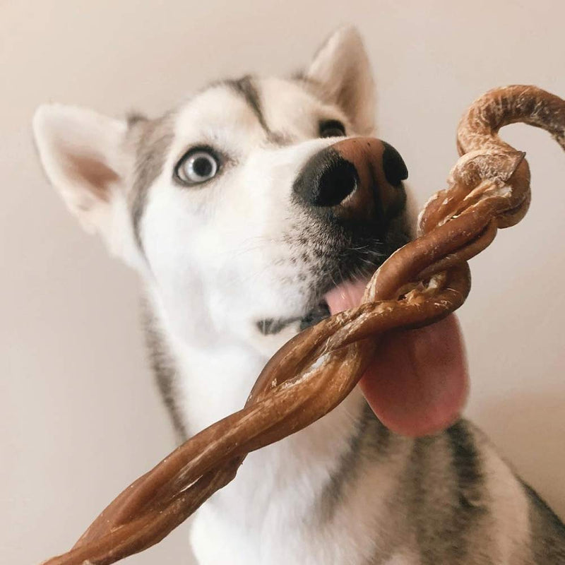 8-11" Braided Lamb Pizzle Stick-3