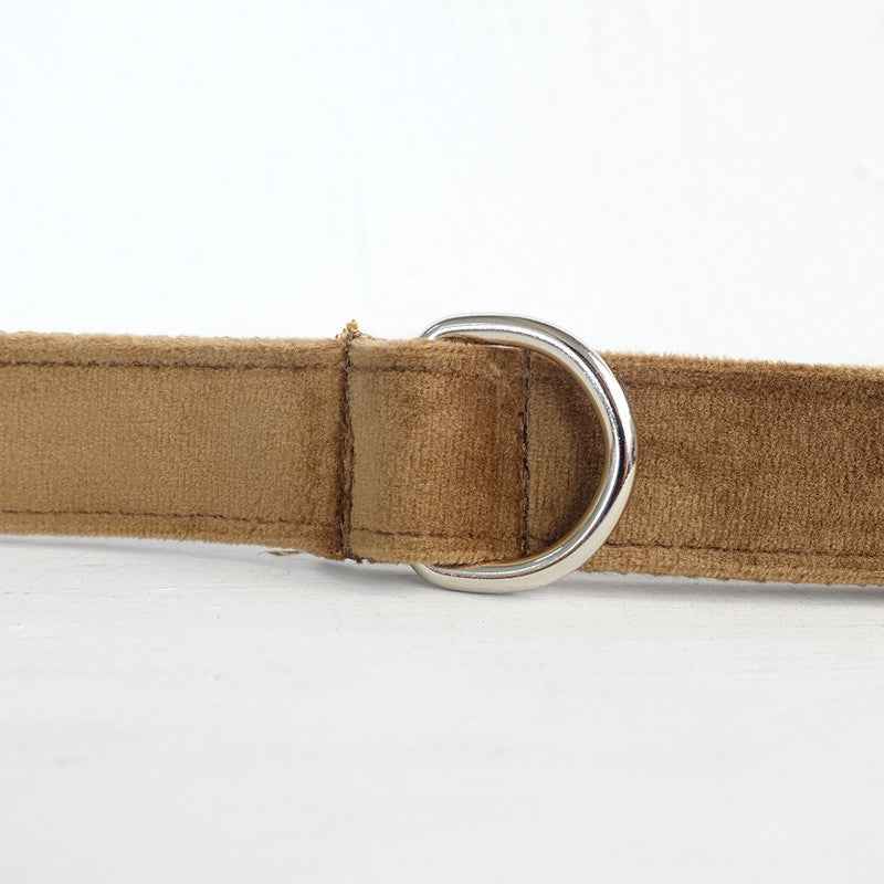Pet dog ring leash-5