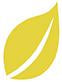 IZINK Nature Natural Paint-32