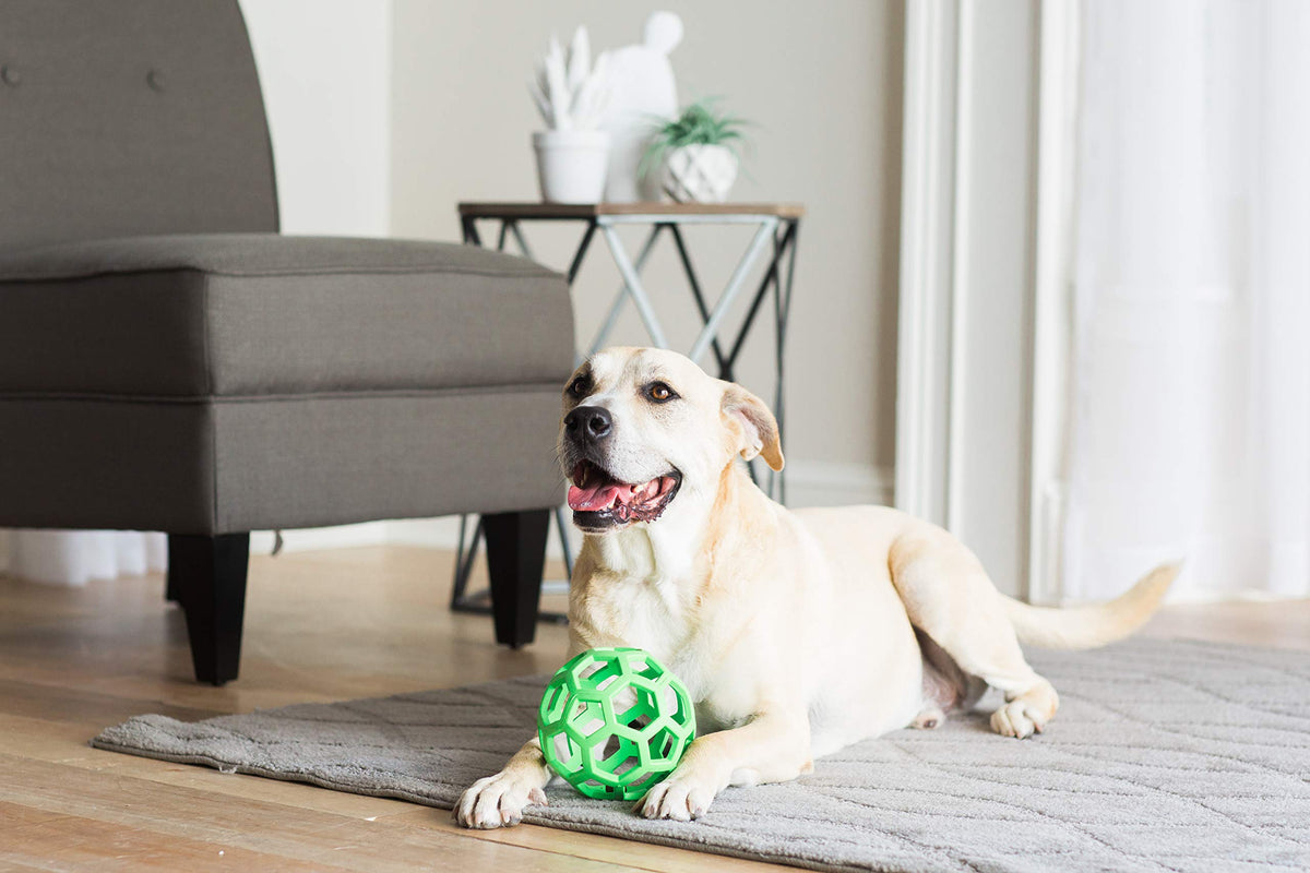 JW Pet HOL-ee Roller Original Do It All Dog Toy Puzzle Ball, Natural Rubber, Assorted Colors, Large 🍁 All In One Marketplace Canada