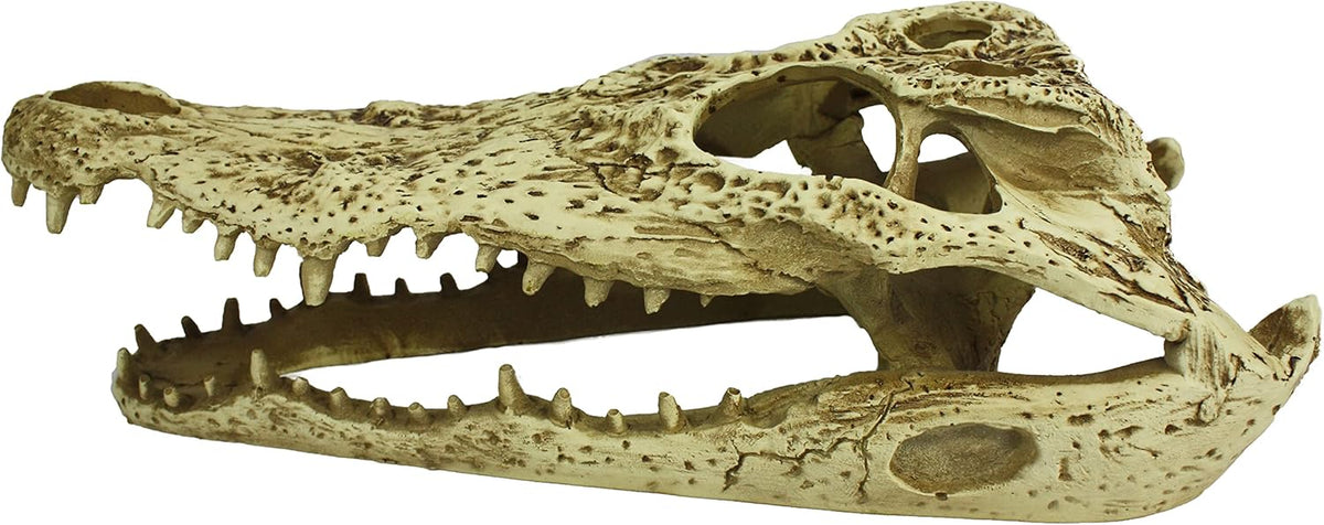 Komodo Alligator Skull Hideout - 9"-1