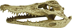 Komodo Alligator Skull Hideout - 9"-1