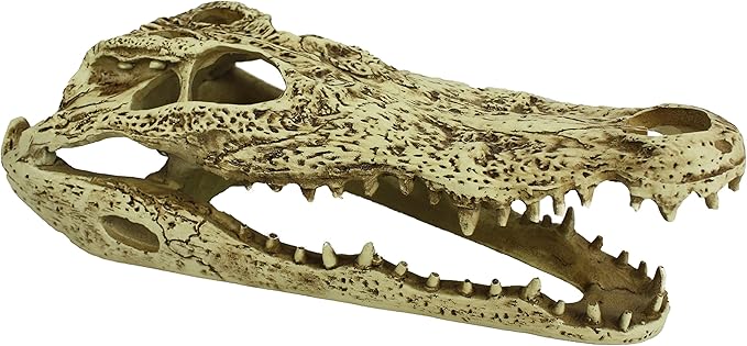 Komodo Alligator Skull Hideout - 9"-2