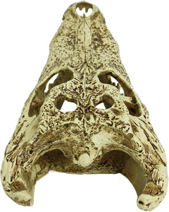 Komodo Alligator Skull Hideout - 9"-3