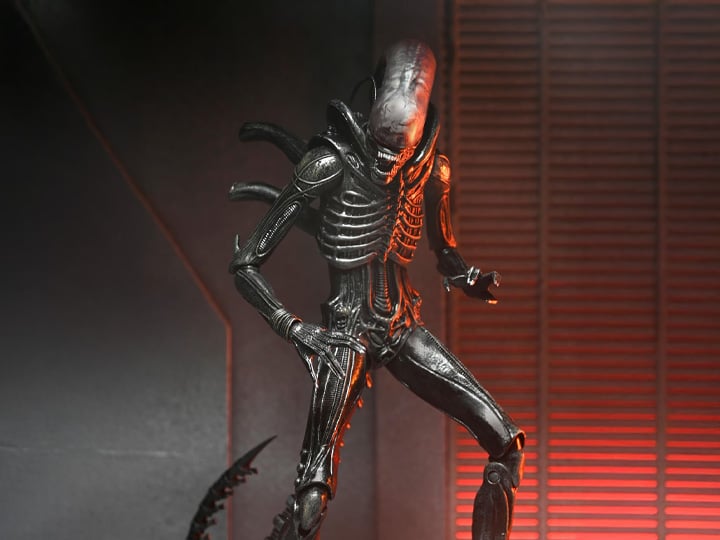 Alien: Romulus Ultimate Xenomorph XX121-10