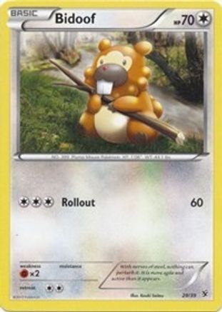 Bidoof/39 - Kalos Starter Set-1