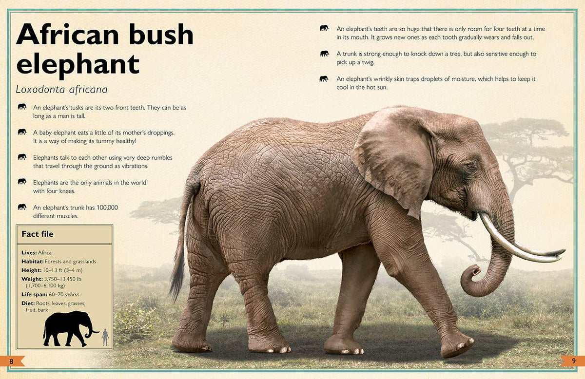 Insight Editions - The Magnificent Book of Animals - Ages 6+-3