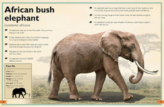 Insight Editions - The Magnificent Book of Animals - Ages 6+-3