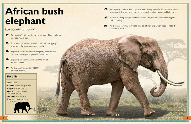 Insight Editions - The Magnificent Book of Animals - Ages 6+-3