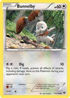 Bunnelby/146 - XY Base Set-1