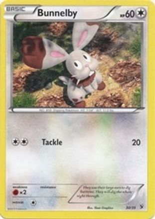 Bunnelby/39 - Kalos Starter Set-1