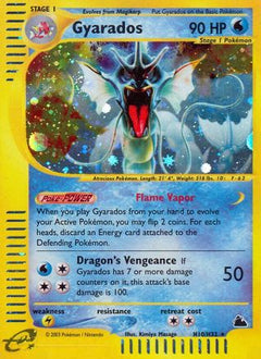 Gyarados (H10)/144 - Skyridge Holofoil-1