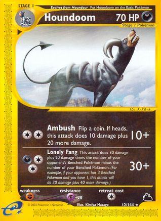 Houndoom (12)/144 - Skyridge Reverse Holofoil-1