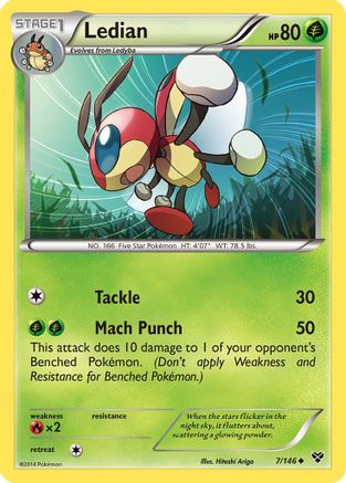 Ledian/146 - XY Base Set Reverse Holofoil-1