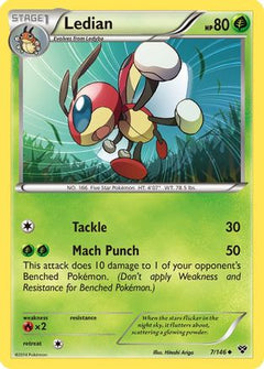 Ledian/146 - XY Base Set Reverse Holofoil-1