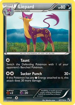 Liepard/114 - Black and White-1