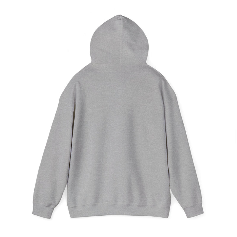Unisex Heavy Blend™ Hooded Sweatshirt-16