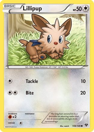 Lillipup/146 - XY Base Set-1