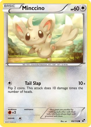 Minccino 88/114 - Black and White Reverse Holofoil-1
