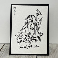 Paquete de GoLetterPress y sellos de Couture Creations-5