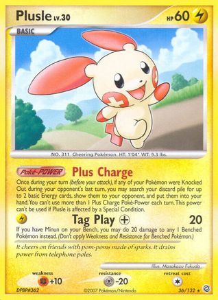 Plusle/132 - Secret Wonders-1