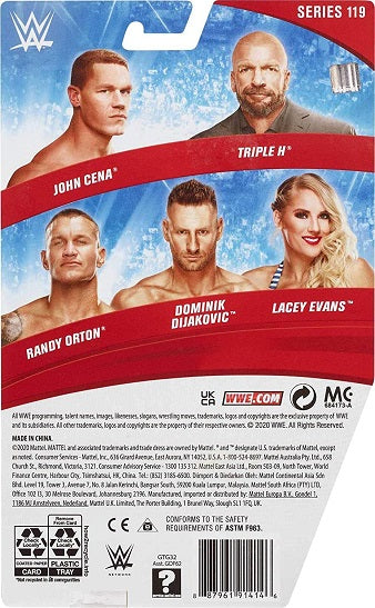 WWE Triple H – Basic Series 119 (UPC: 887961914146)-2