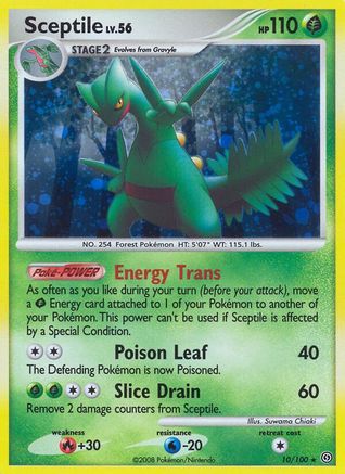 Sceptile/100 - Stormfront Reverse Holofoil-1