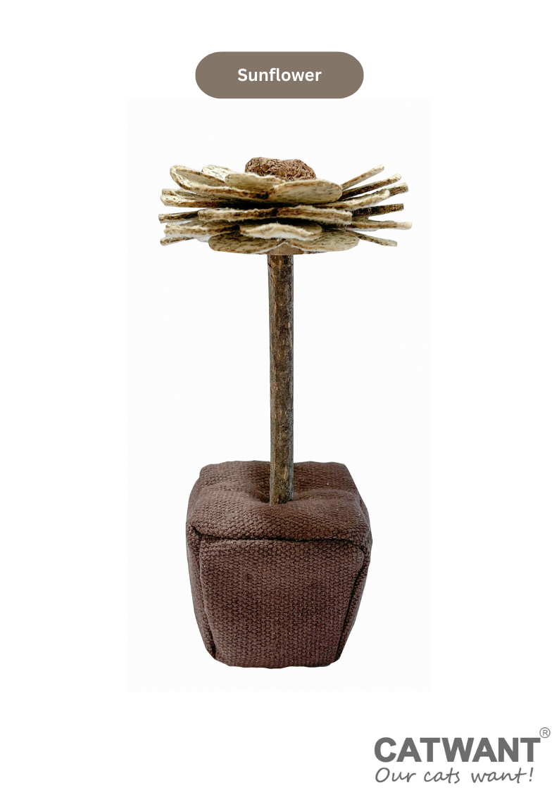 Catnip Paper Flower-9