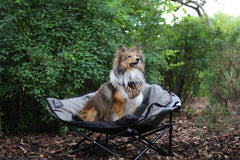 Kuma Little  Lazy Bear Dog Bed-7