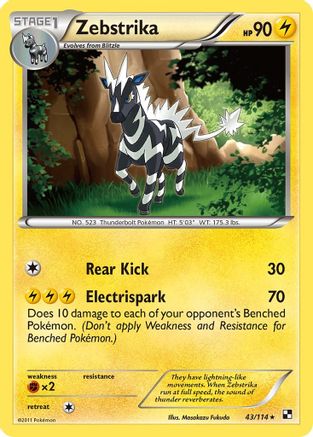 Zebstrika (43)/114 - Black and White-1