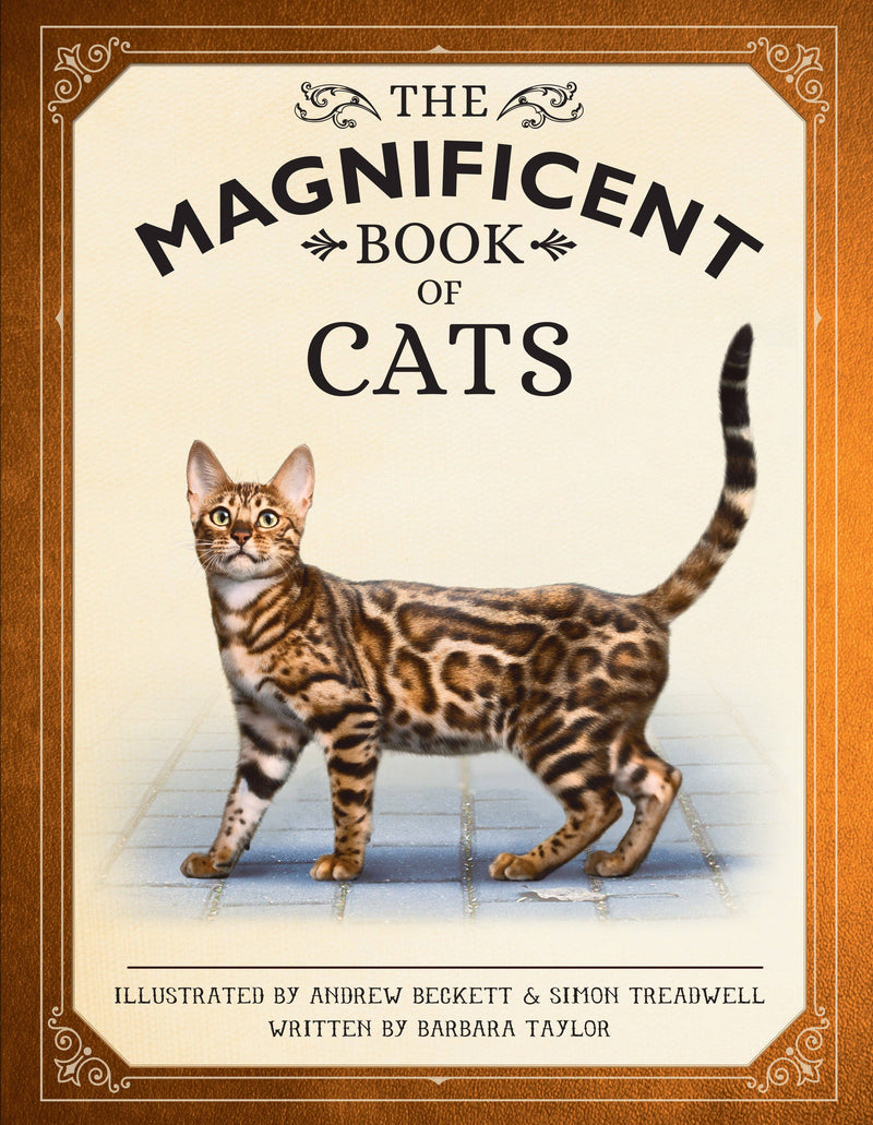 Insight Editions - The Magnificent Book of Cats - Ages 6+-1