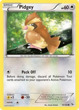Pidgey 75/106 - XY  Flashfire-1