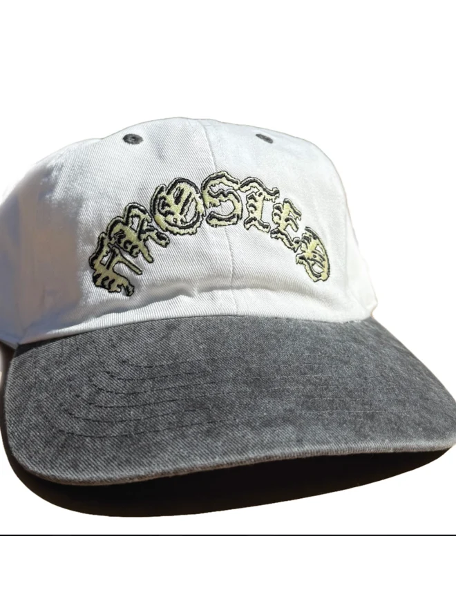 Frosted Skateboards 'Goth' Cap - Grey-1